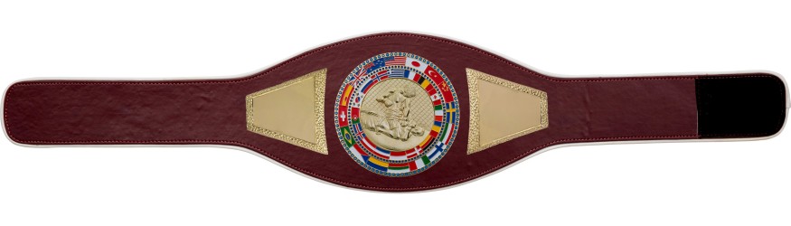 MMA CHAMPIONSHIP BELT-PROFLAG2/FLAG/G/MMAG - AVAILABLE IN A VARIETY OF COLOURS MMA CHAMPIONSHIP BELT-PROFLAG2/FLAG/G/MMAG - AVAILABLE IN A VARIETY OF COLOURS